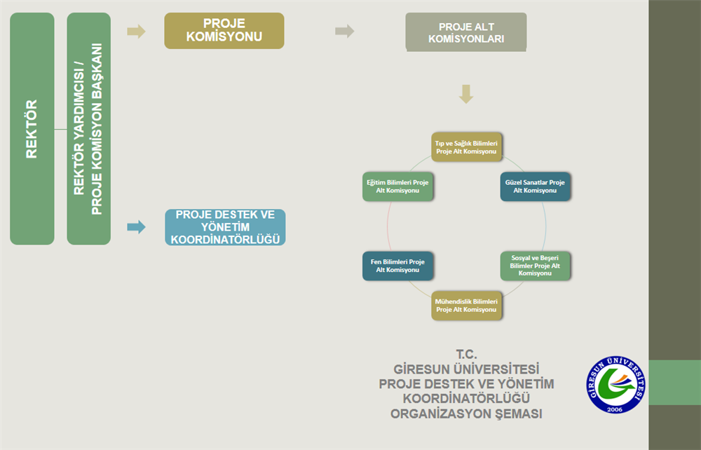 proje yönetimi organizasyon şeması